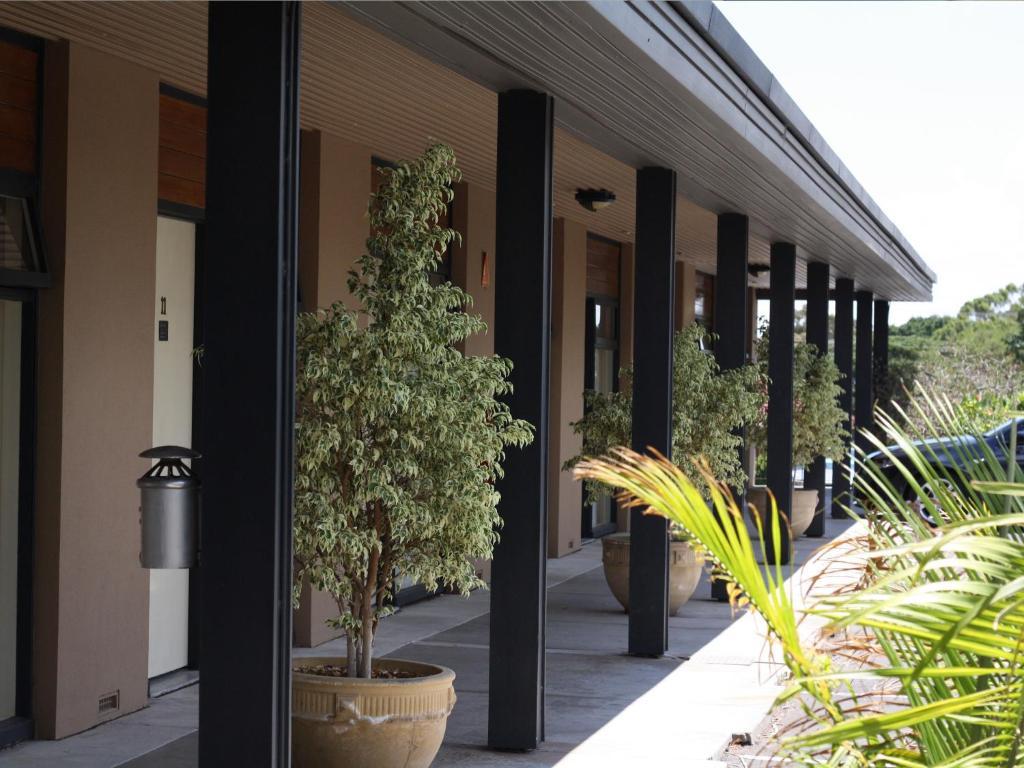 Tonsley Hotel アデレード エクステリア 写真